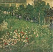 Vincent Van Gogh Daubigny's Garden (nn04) Germany oil painting artist